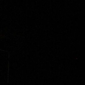 Meet your Posher, Gavin